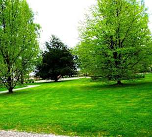 Der Stadtgarten
