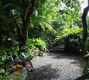 Impressionen vom Jardin des Parfums et des Epices