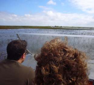 Weite Landschaft, viele Vögel.
