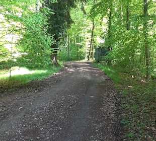 Rundwanderweg - Ottos Ruh