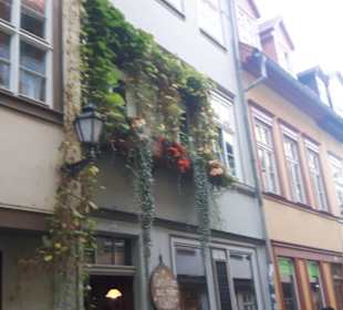 Altstadt Erfurt
