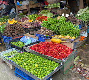 Ausflug Land und Leute