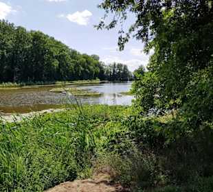 Blick über den See