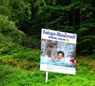 Der Plöckenpass 06-2011