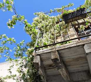 Balkon im Innenhof der Bar Yesterday