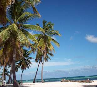 Canto de la Playa - Seavis Tours