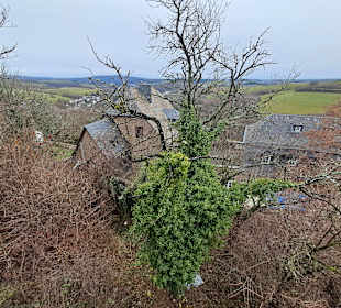 Burgruine Lichtenberg Thallichtenberg