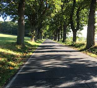 Wandern Binz auf Rügen