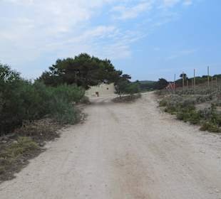 Rundgang auf der Insel