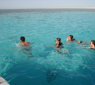 Schnorcheln beim Auflug mit Glasbodenboot