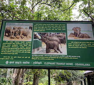 Elefantenwaisenhaus Udawalawa
