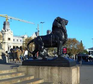 Port Vell