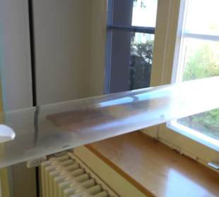 Museum für Naturkunde