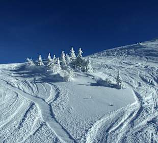 Freeride