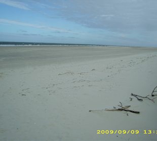Dünen/Strand Amrum