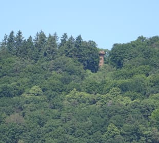 Bergbahn - Aus- und Einblicke vom Schloss