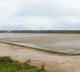 Bei den Salinen von Faro