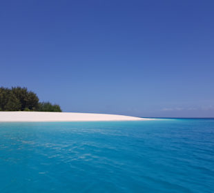 Mnemba Island