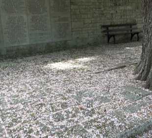 Gefallenendenkmal am Friedhof Holzhausen