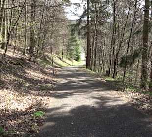 Baumlehrpfad Sontheim