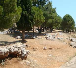 Auf dem Burggelände