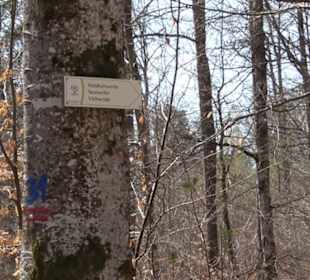 Waldkulturerbe Neuweiler Viehweide