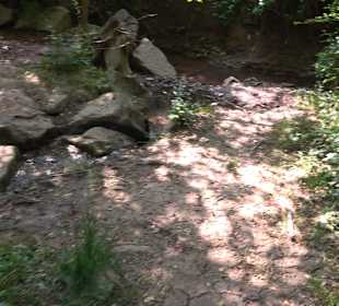 Rundwanderung Klingenbachtal - Sulzbachsee