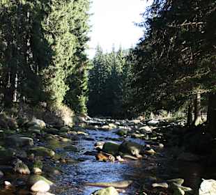 Flusslandschaft im Böhmerwald Nationalpark