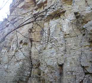 Felsengärten Hessigheim