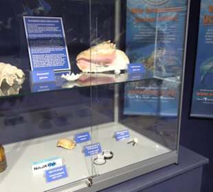  Lego X-Treme - Legoland Atlantis by SEA LIFE