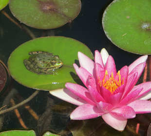 Dasselbe etwas anders