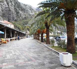 Altstadt Kotor