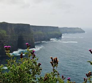 Cliffs of Moher