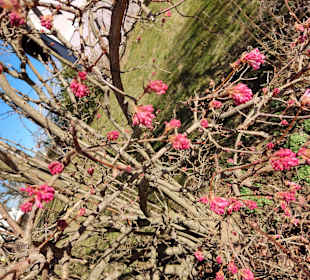 Wandern Bad Waltersdorf