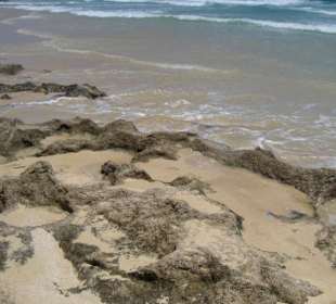 Parco naturale delle dune