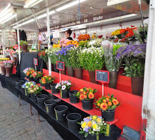 Rundgang über den Bremer Blumenmarkt im Frühling