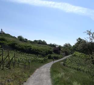 Früchtetrauf - Wurmlinger Kapellenwegle