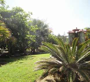 Ein schöner Garten