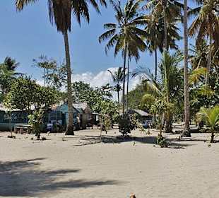 Tropical Beach Safari - Puerto Plata - DomRep Lifestyle - Ex