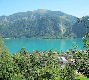 Blick auf den Attersee