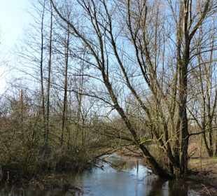 Abwechslungsreicher Weg