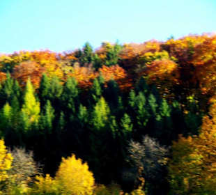 Die schönsten Bilder der Gegend