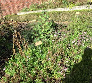 Klostergarten - Garten der Pilger Oberelchingen