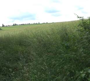 Premiumwanderweg "hochgehackert"