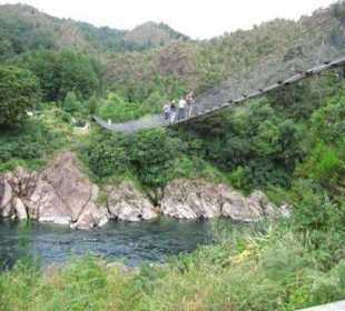 Swinging Bridge über die Buller Gorge