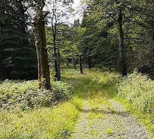 Wandern Schmallenberg