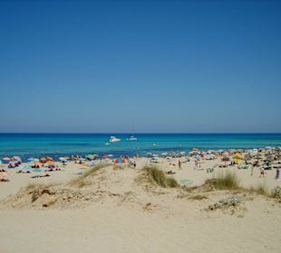 Sehr gepflegter Strand