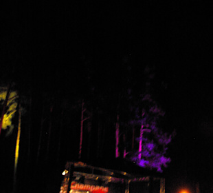 Beleuchtung der Bäume