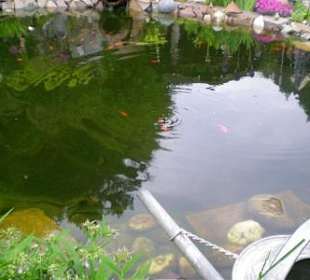 Brauhaus Ehrstein Hinterweidenthal