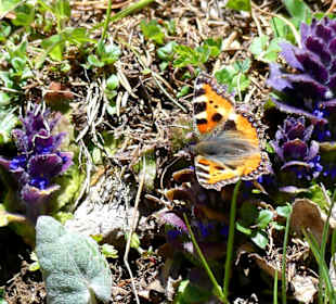 Es gab viel zu sehen 